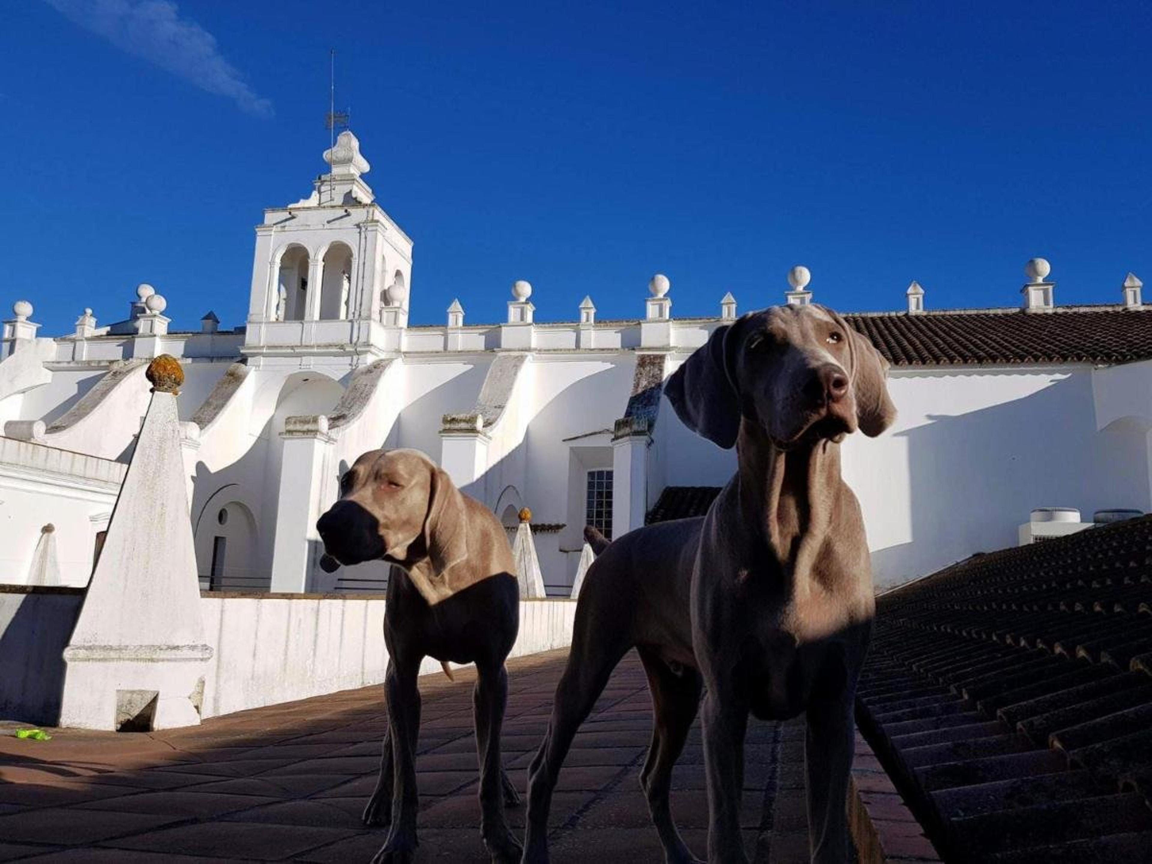 Convento do Espinheiro, Historic Hotel & Spa - Évora