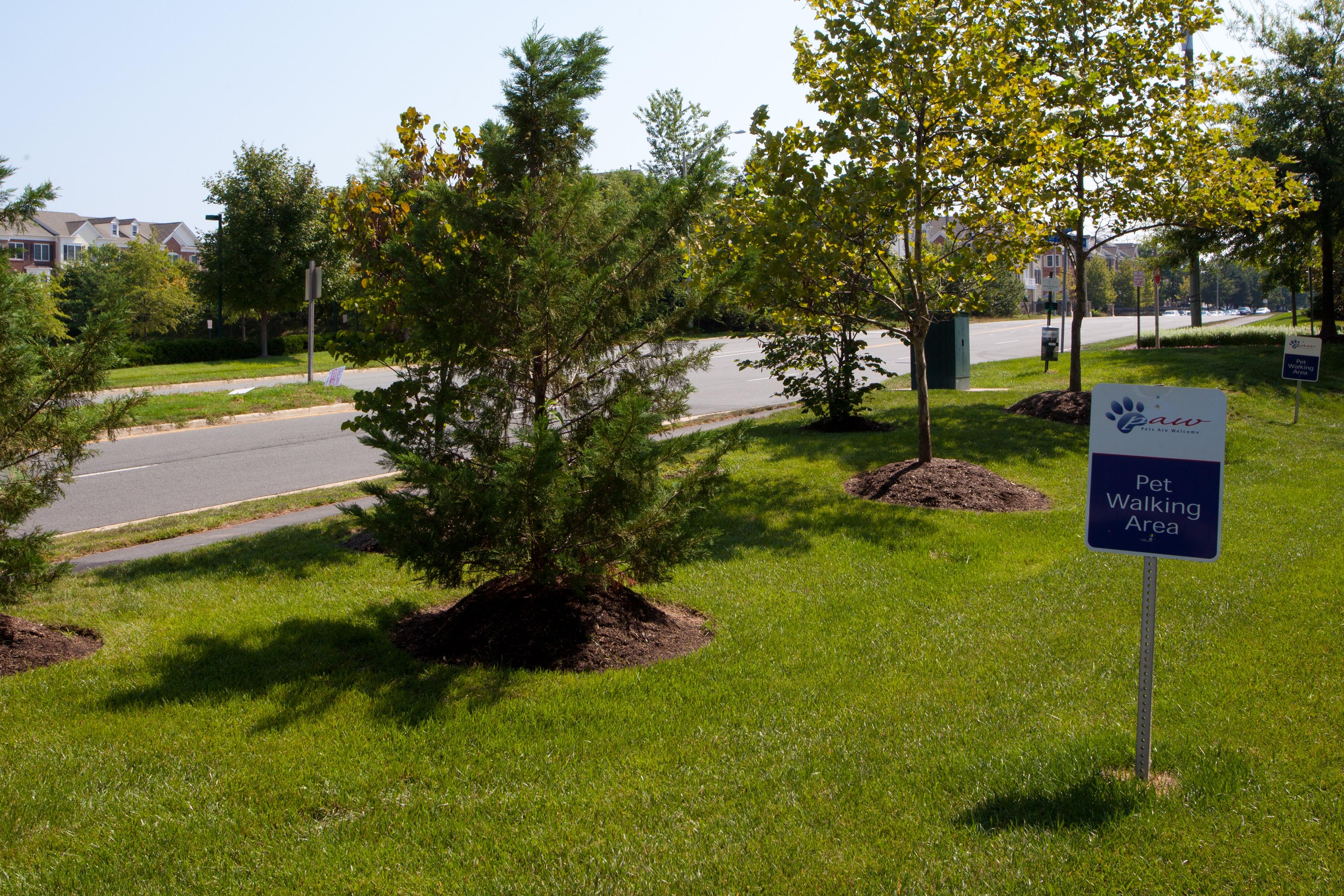 CANDLEWOOD SUITES HERNDON BY IHG