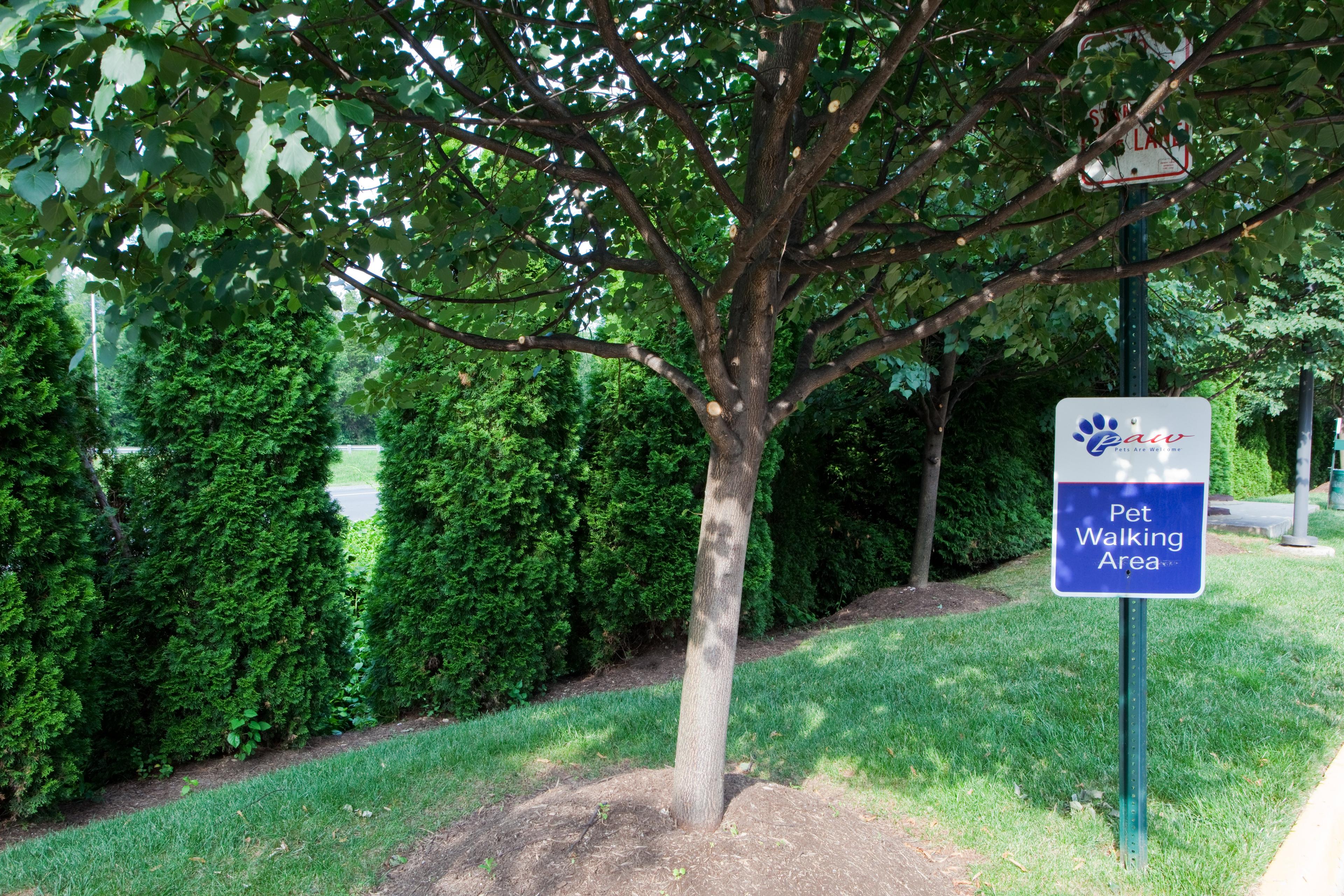CANDLEWOOD SUITES FAIRFAX BY IHG