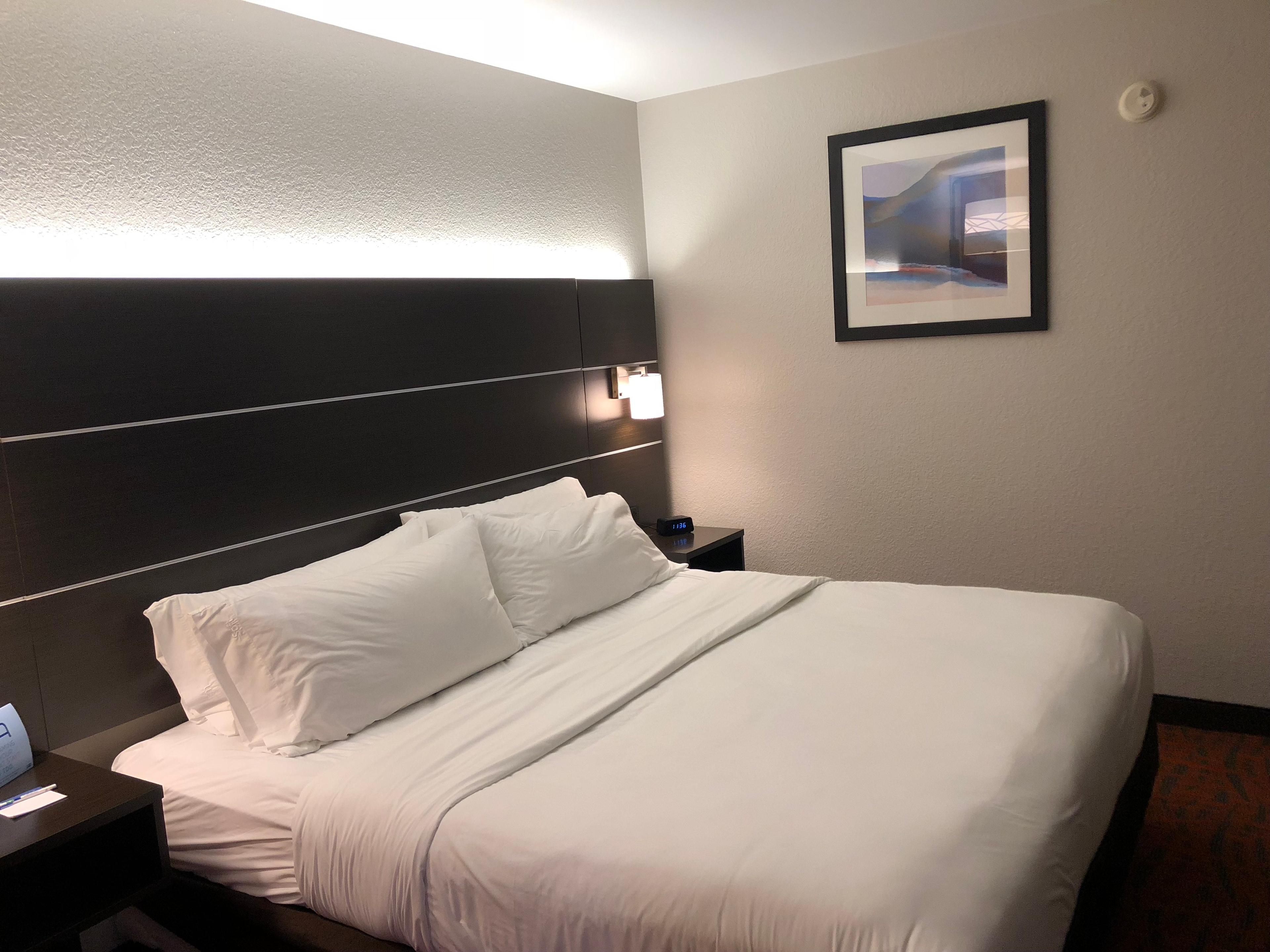 HOLIDAY INN EXPRESS METROPOLIS BY I