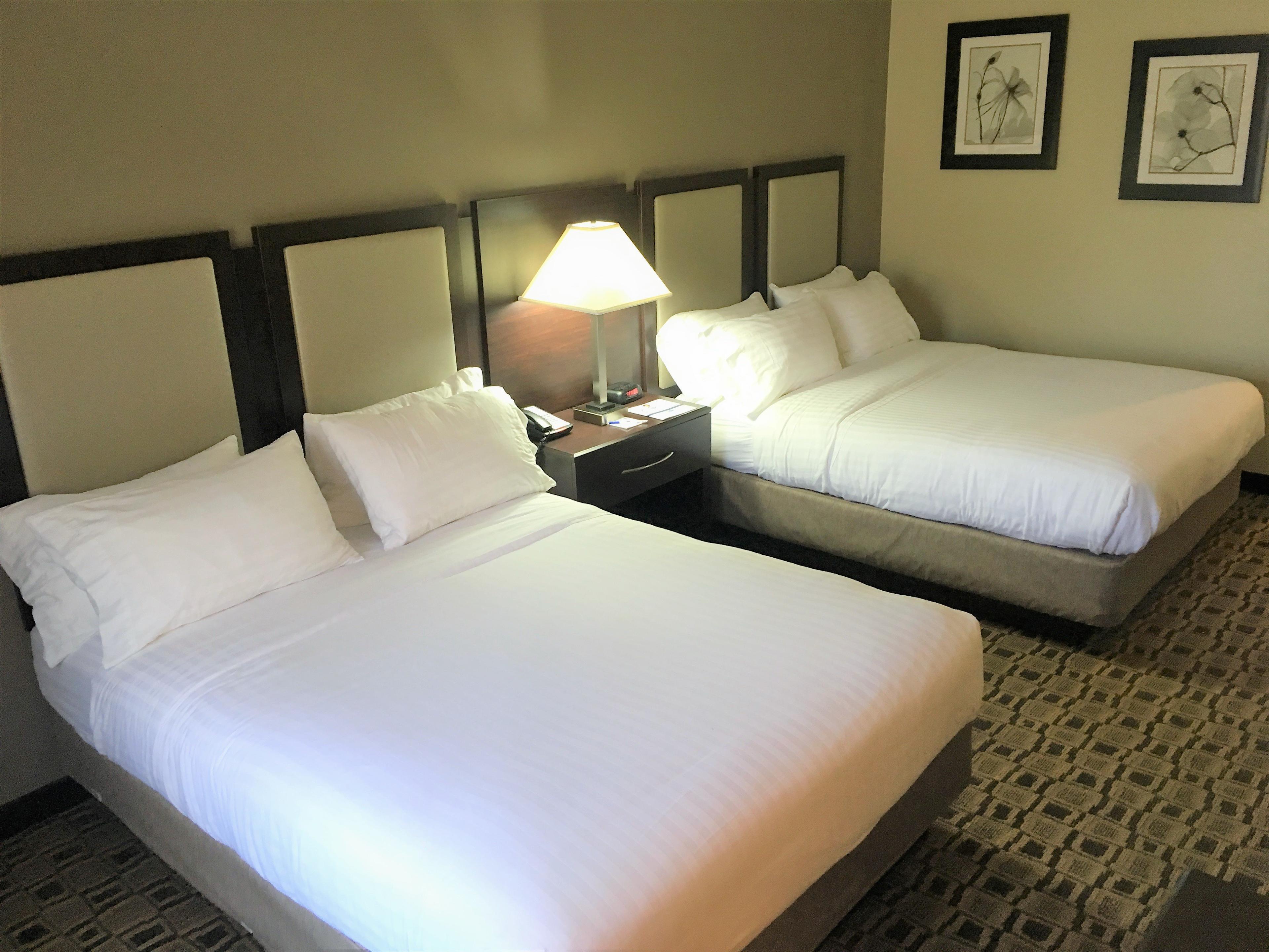 HOLIDAY INN EX STES ALBERMARLE BY I