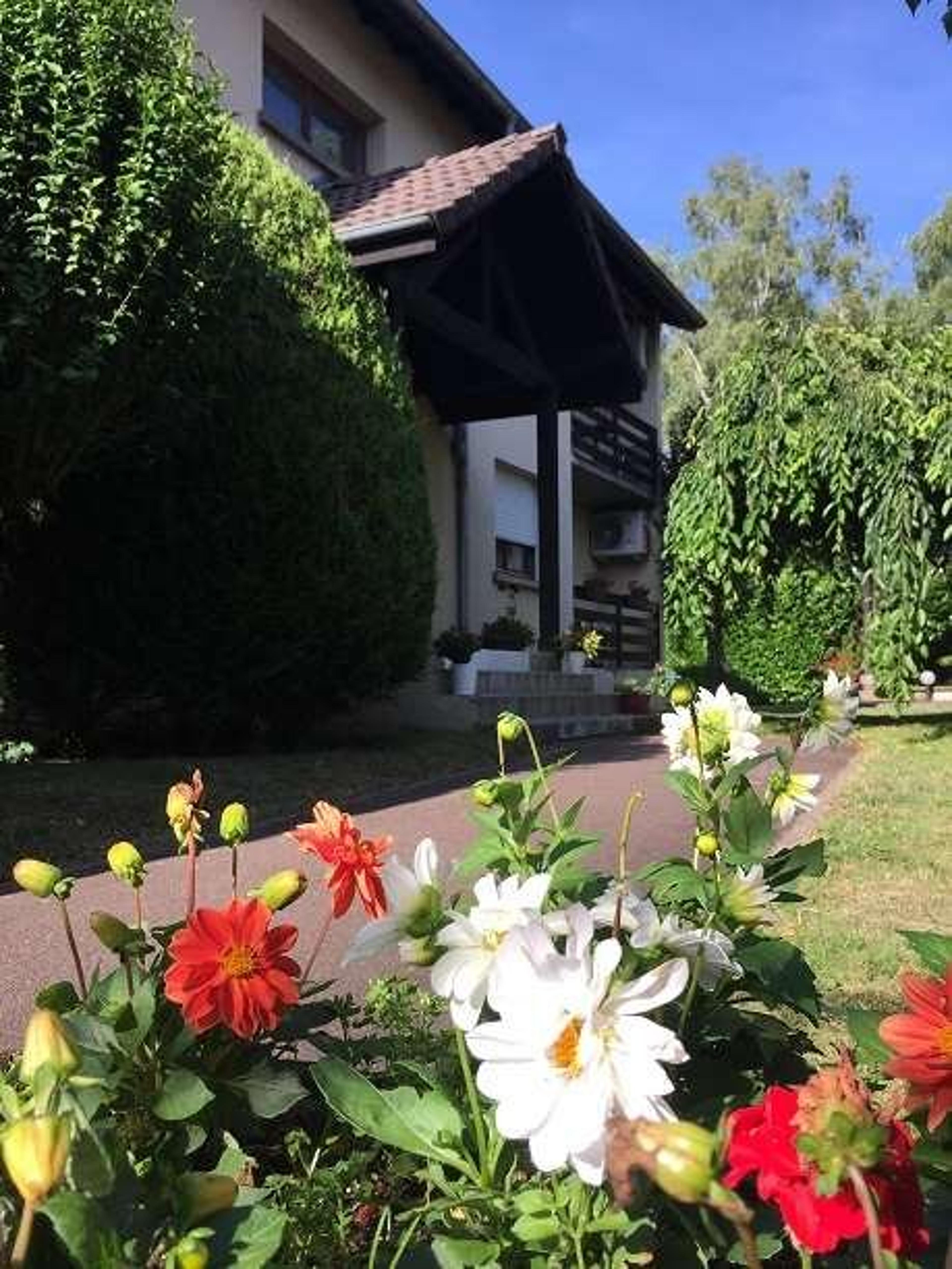 HOTEL LES TILLEULS-MONTBELIARD SUD-