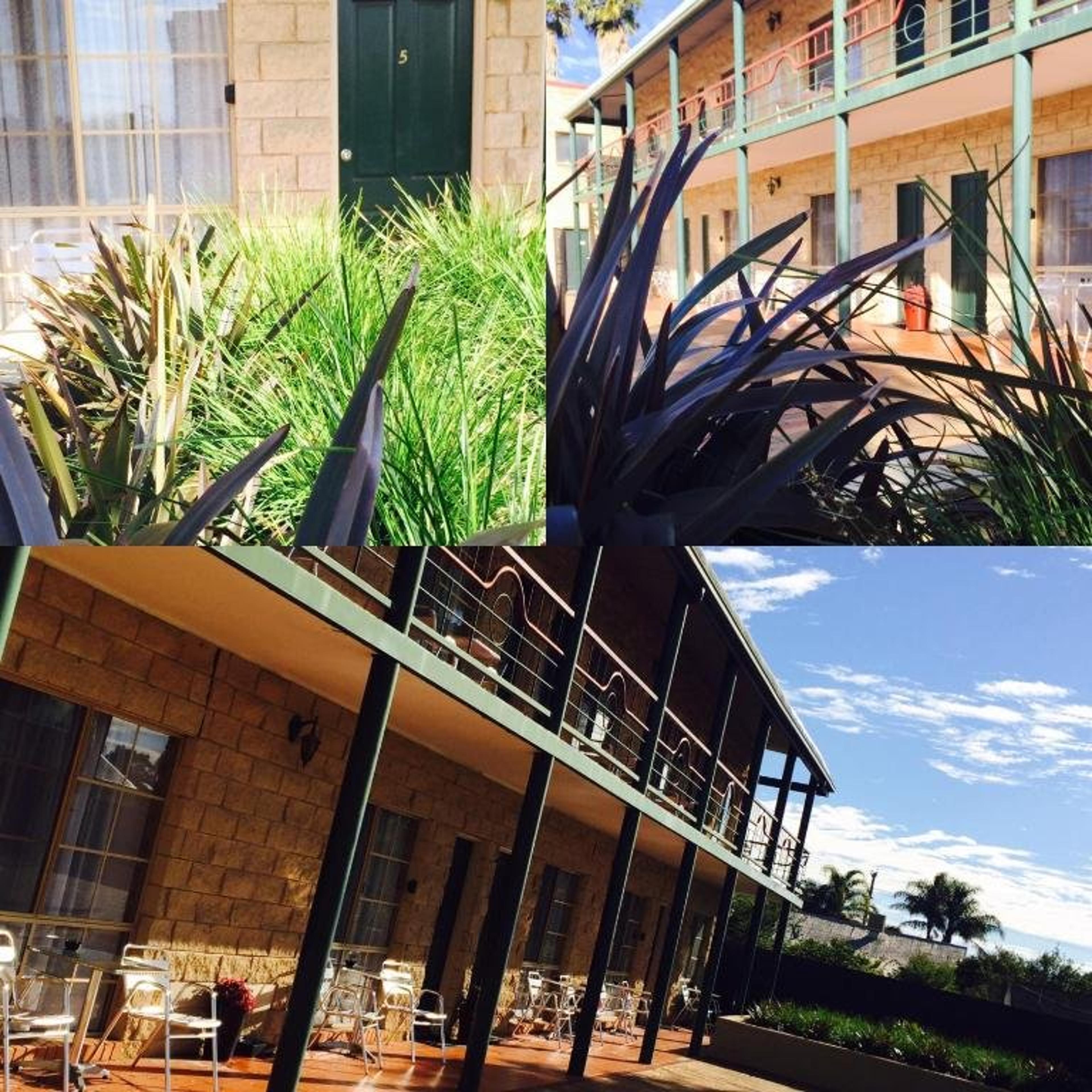 PARADISE PALMS MULWALA MOTEL