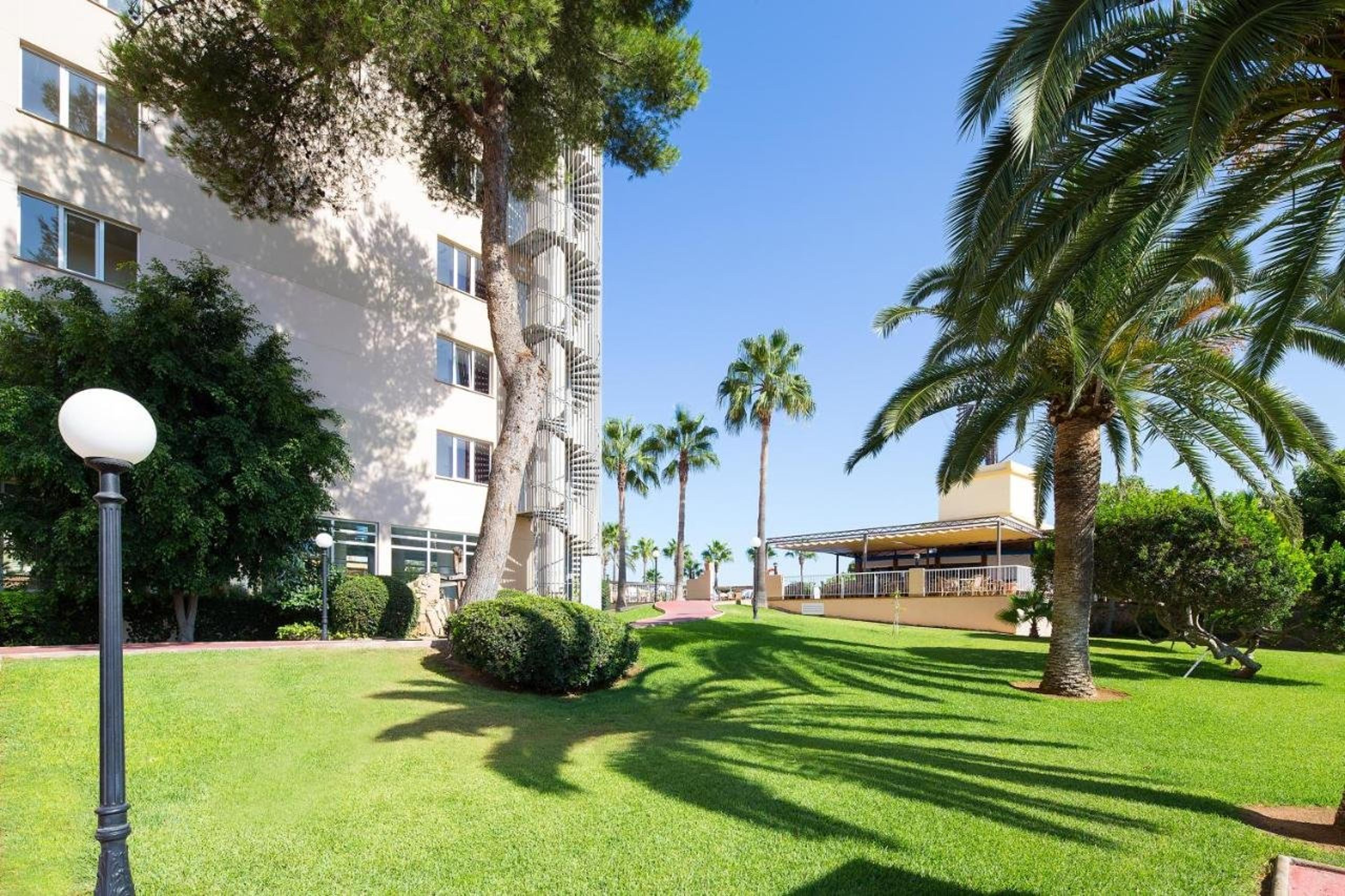 THB EL CID - ADULTS ONLY