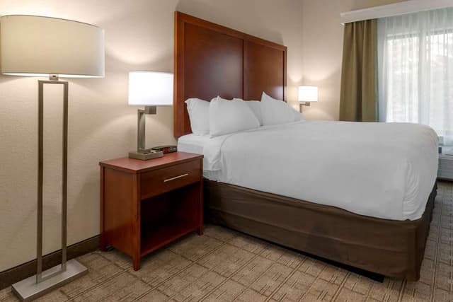 COMFORT INN AND SUITES NORTH MANKAT-guestroom-Guest Room,On-Site.jpg