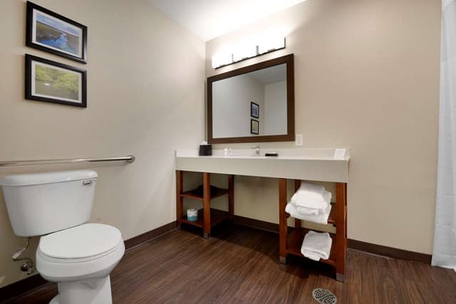 COMFORT INN AND SUITES NORTH MANKAT-guestroom-Guest Room,Bathroom,On-Site.jpg