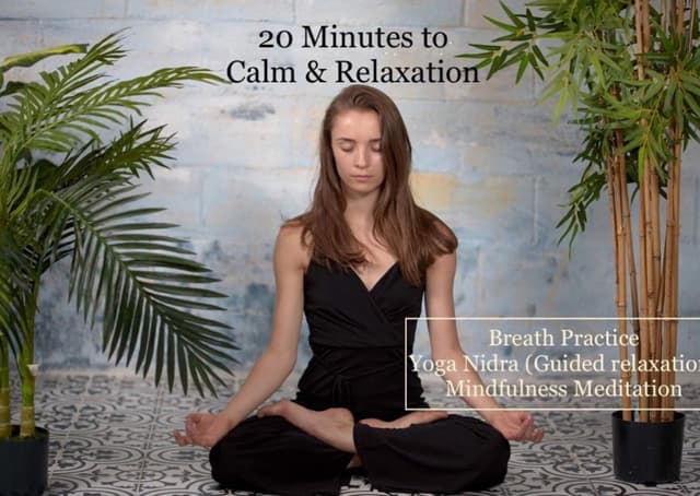 Virtual Meditation