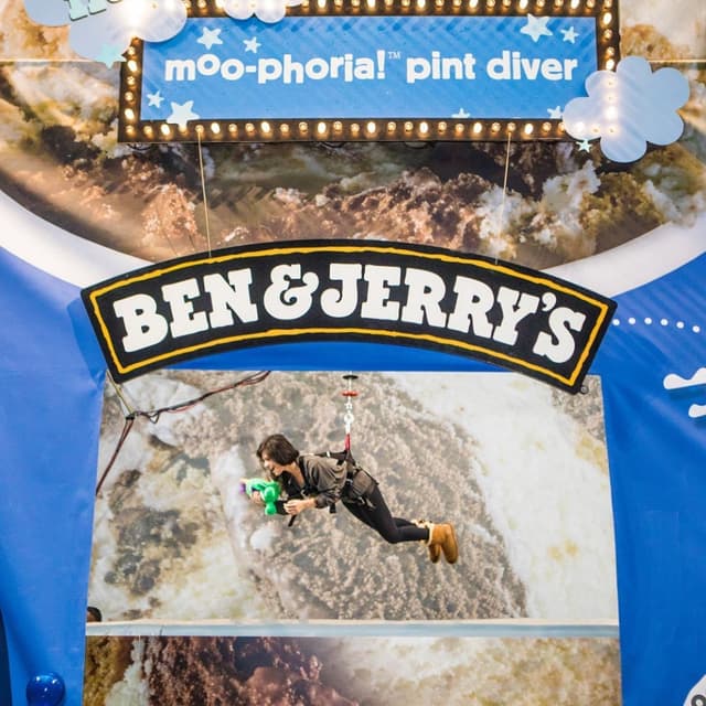 Ben & Jerry's Moo-Phoria! Pint Diver