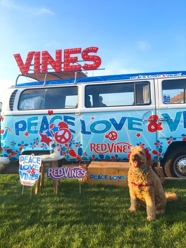 Peace, Love & Vines Tour