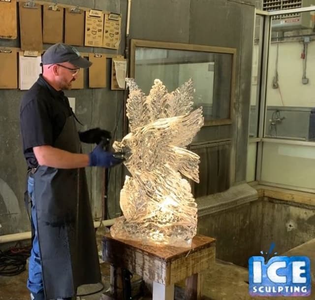 Ice Sculpting - 0