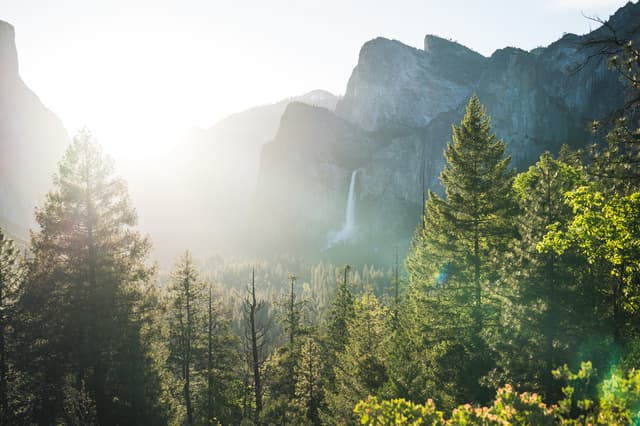 Yosemite Corporate Retreat