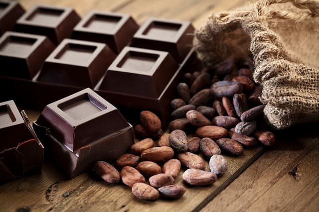 The Art and Science of Cacao