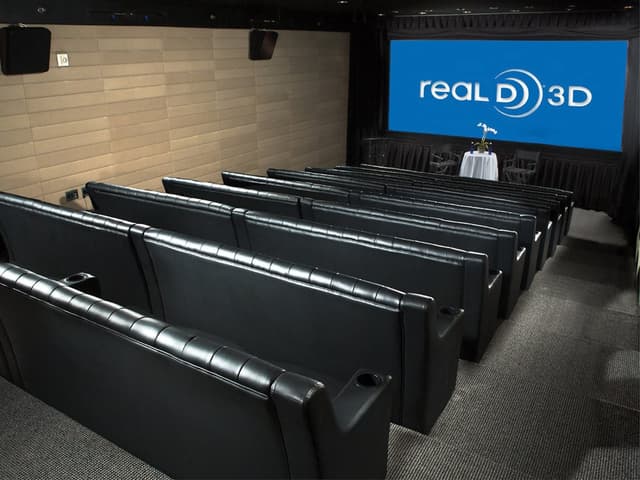 Real 3D Screening Room