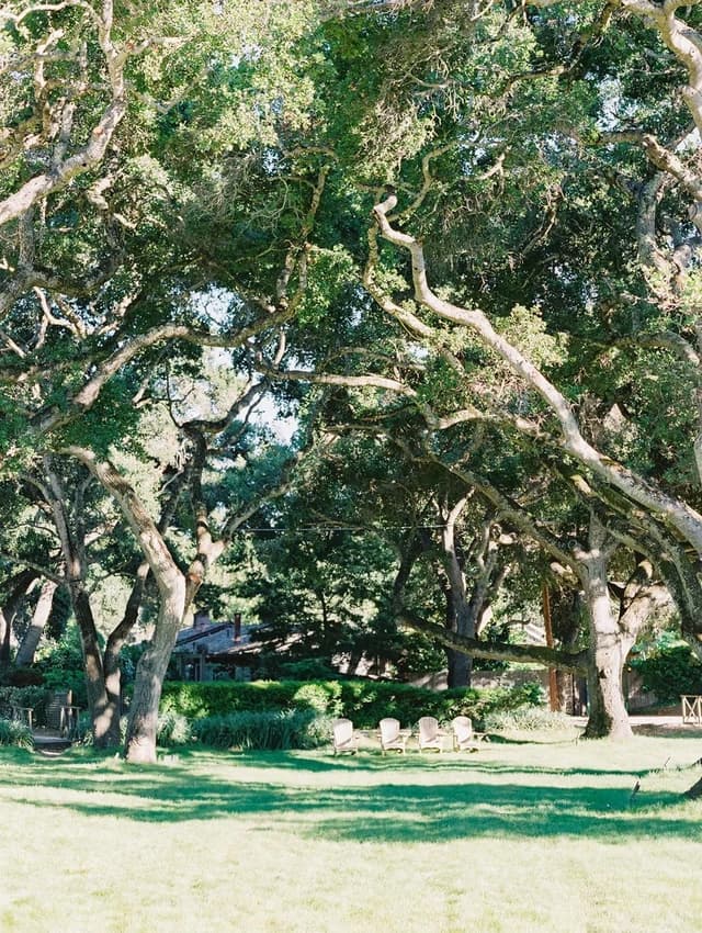 The Oakland Lawn