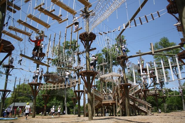 Full Buyout of Wild Blue Ropes Adventure Park