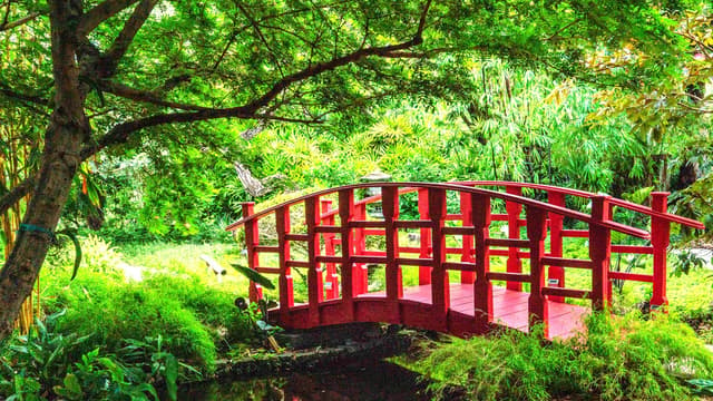 japanese-garden-bridge.jpg