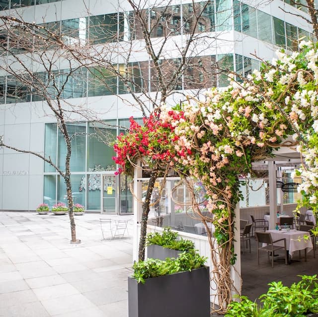 Outdoor Courtyard