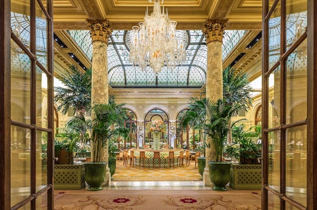 The Palm Court - Full Buyout