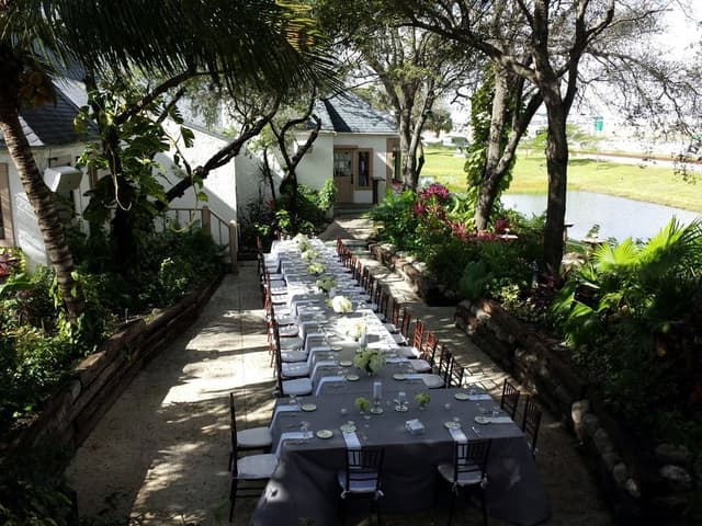 Patio Garden