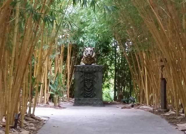 Longhouse - Tiger Statue 2-cropped.jpg