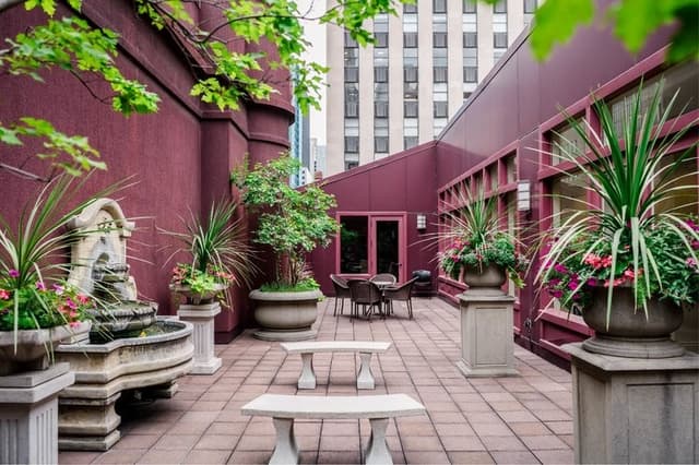 Roof Top Patio