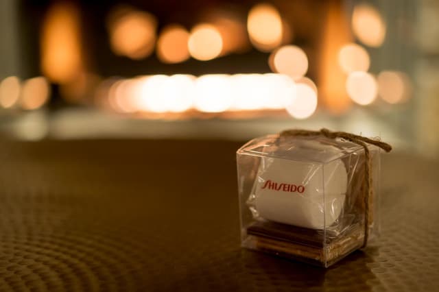 Shiseido Leadership Retreat - 0