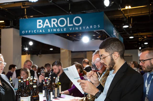 Barolo and Barbaresco World Opening 2020 - 0