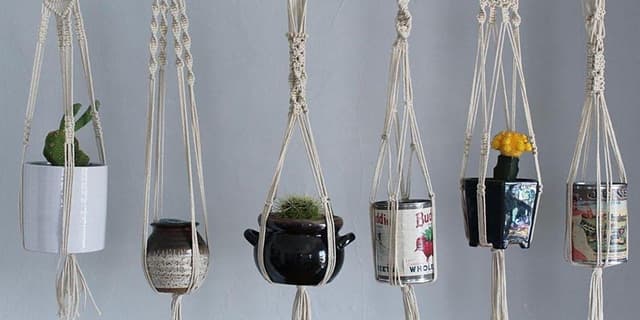 Macrame Plant Hangers with Dapper House 