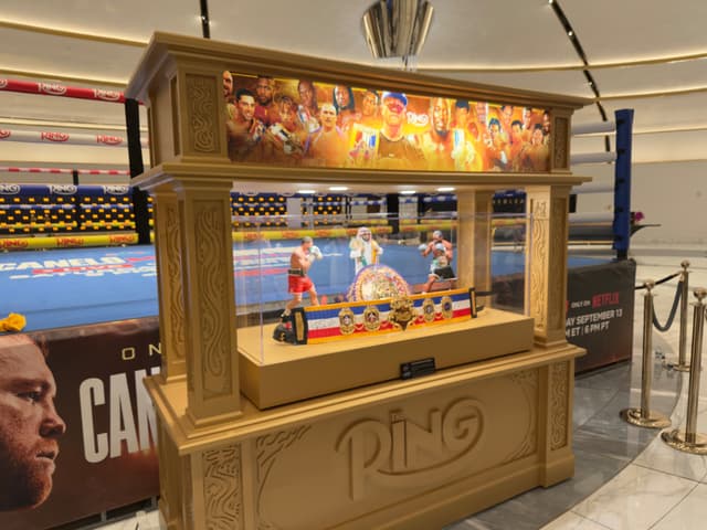  Canelo vs. Crawford fight in Las Vegas - 0