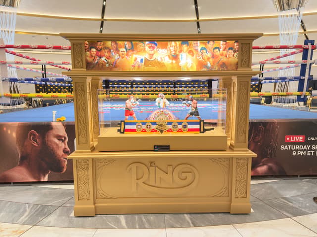  Canelo vs. Crawford fight in Las Vegas