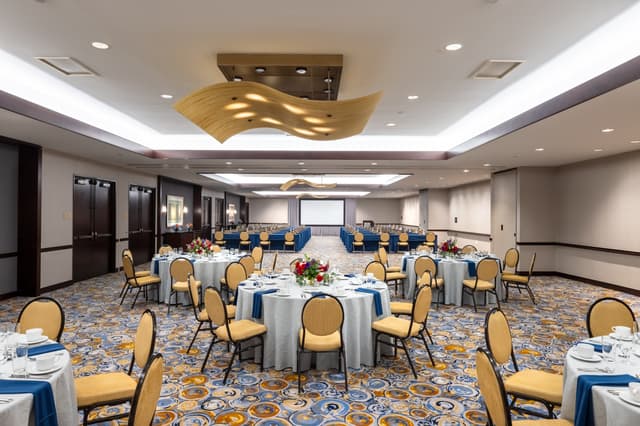 Meeting Room 335 ABC 321A9452-HDR1.jpg