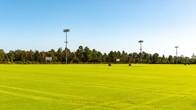 TM2_0093-59-890x500.jpg
