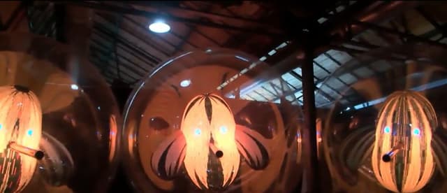 Balloon Museum Birds (1).jpg