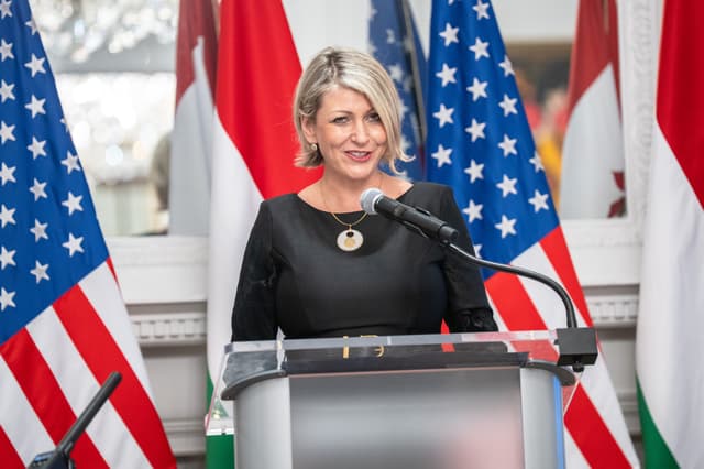 Hungarian Embassy Holiday Event