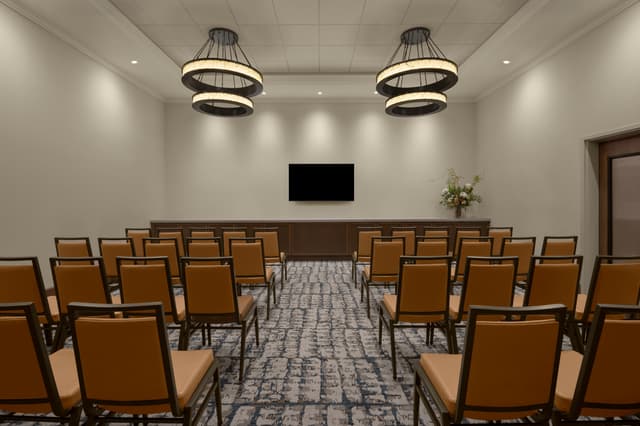 Meeting Spaces - Silver - Theater.jpg