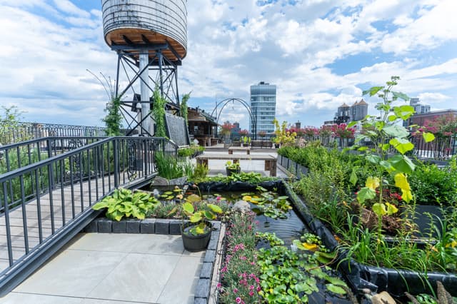 8th Floor Penthouse with Floating Staircase to Rooftop Oasis