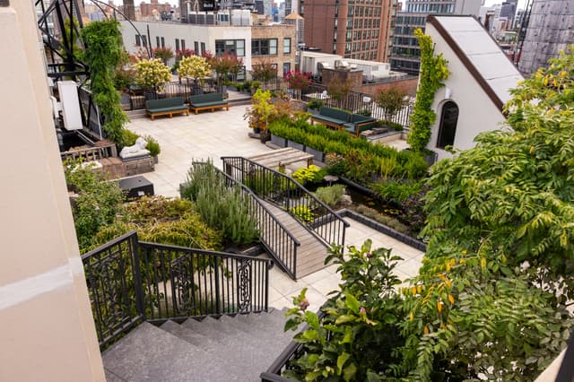 Rooftop 1.jpg