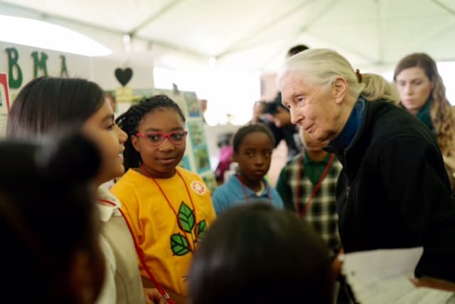 Jane Goodall Roots & Shoots 