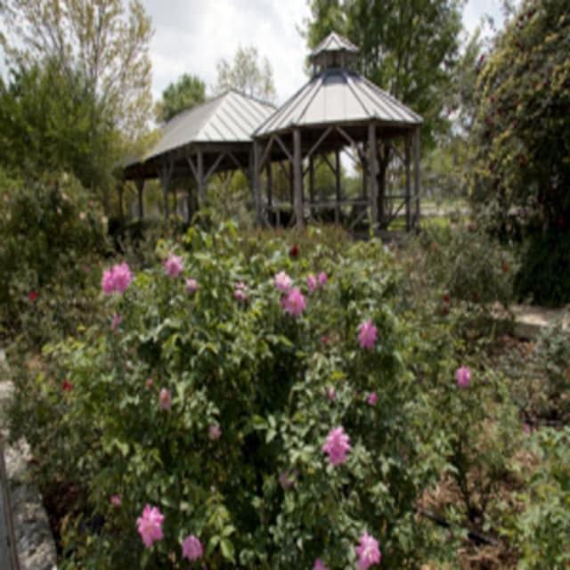 The Rose Garden and Gazebo