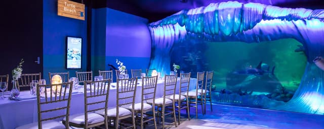 events-slsa_0002_dinner-the-reef-1.jpg