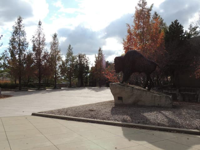 Bison Plaza