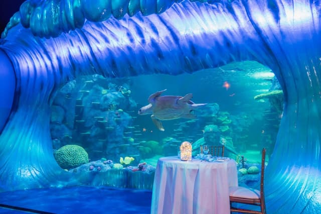 SEA-LIFE-Sydney-Aquarium-Private-Dining.jpg