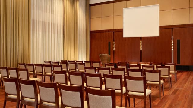 Park-Hyatt-Zurich-P831-Ballroom-Theater-Screen.jpg