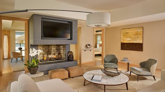 Park-Hyatt-Zurich-P762-Presidential-Suite-Fireplace.jpg