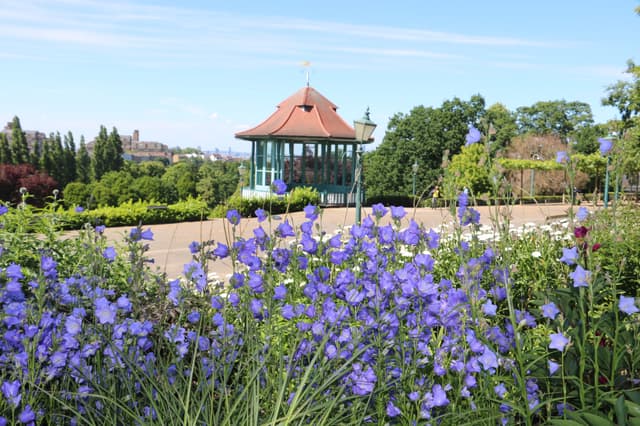 Pollinator-bed-and-bandstand.jpg