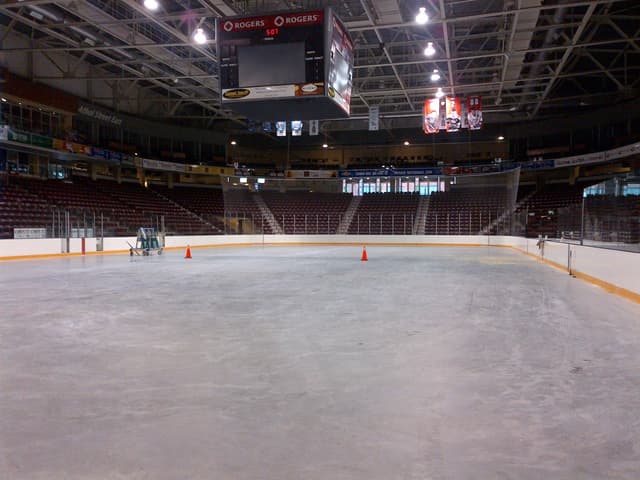 Rink 1