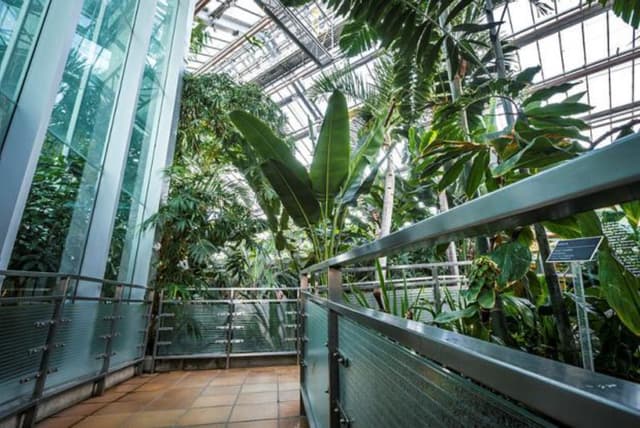 Botanical Garden - Welcome Greenhouse