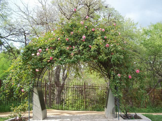4d22cf33-af12-4397-a390-3964ce0f16e4.jpg