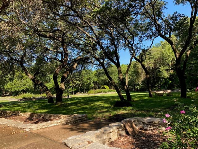 Mabel Davis Rose Garden – Oak Trees