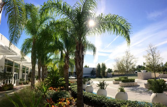 Hilton_Orlando_Meetings_Promenade_Sun_Garden__1_.jpg